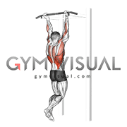 Bodyweight_Chin_Up.gif