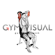 Seated_Triceps_Extension.gif